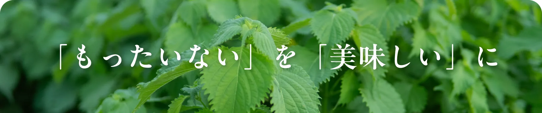 「もったいない」を「美味しい」に