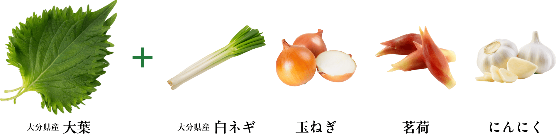 大分県産大葉 + 大分県産白ネギ 玉ねぎ 茗荷 にんにく
