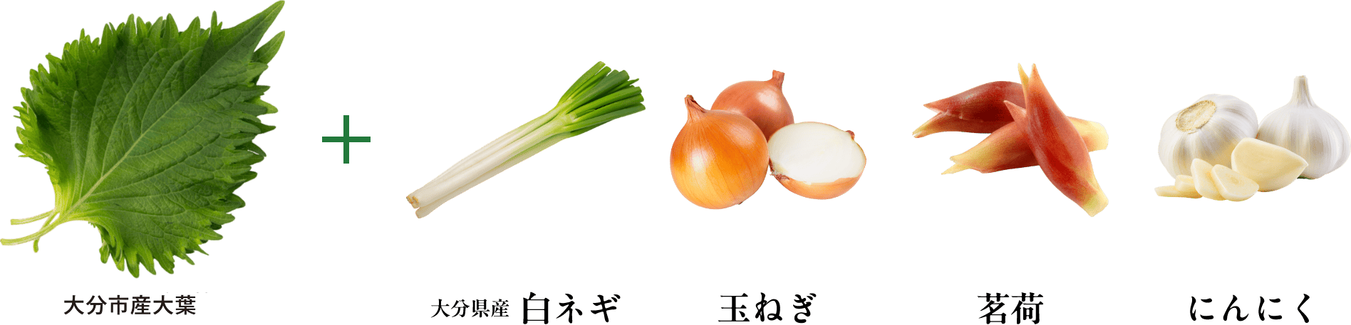 大分市産大葉  + 大分県産白ネギ 玉ねぎ 茗荷 にんにく